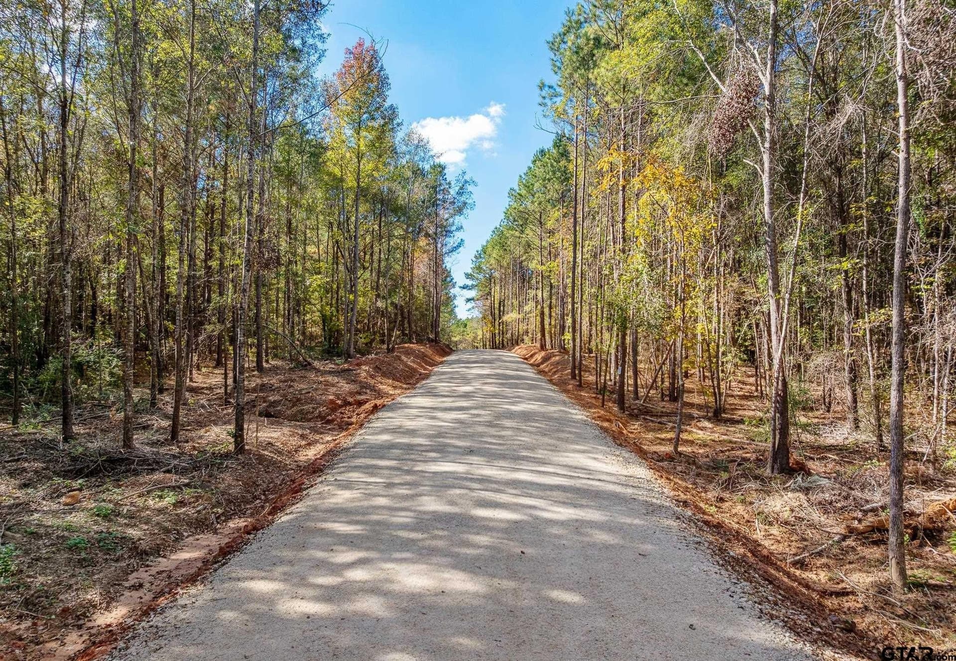 11.01 acres in Cherokee County gallery image 3