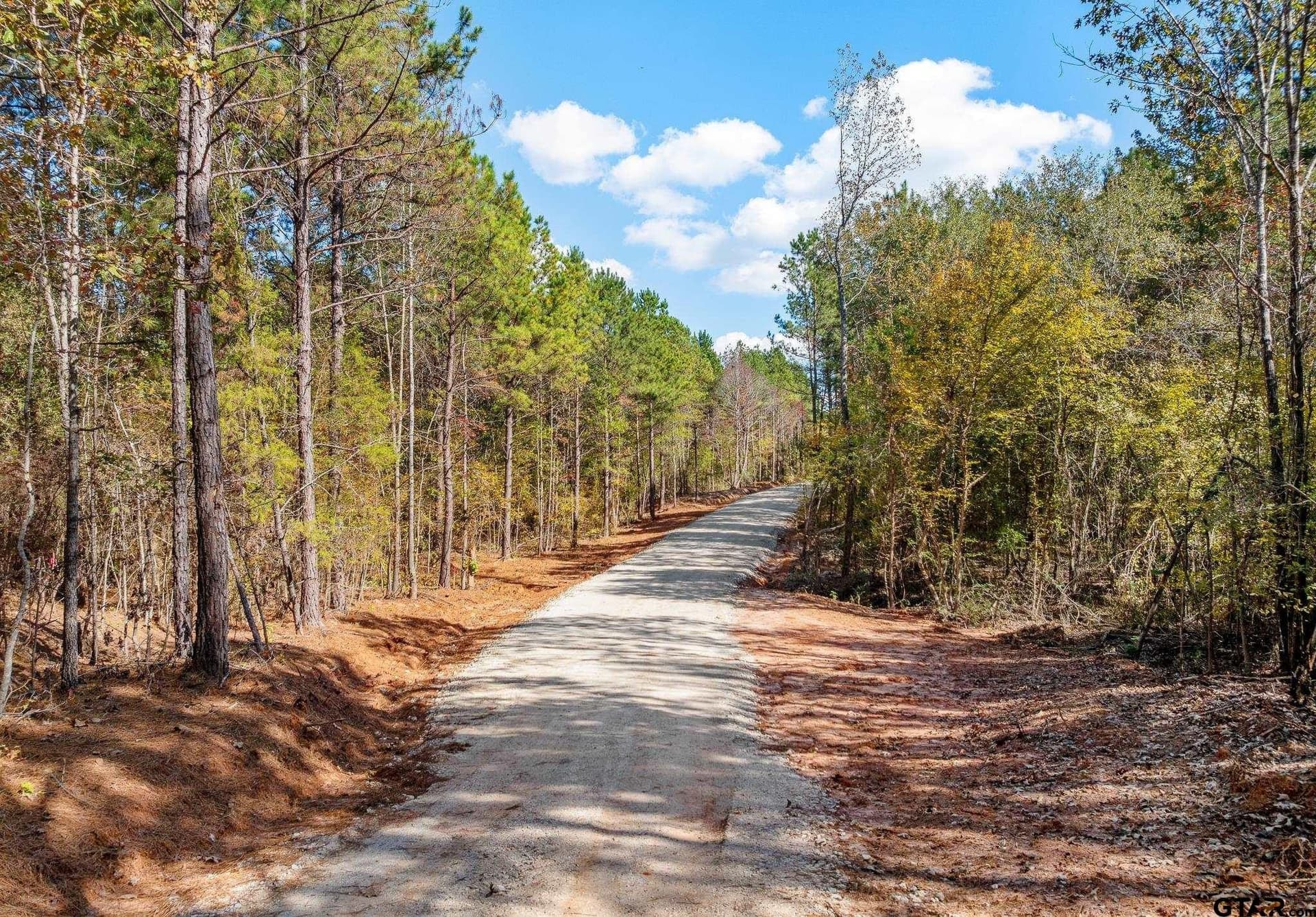 11.01 acres in Cherokee County gallery image 4