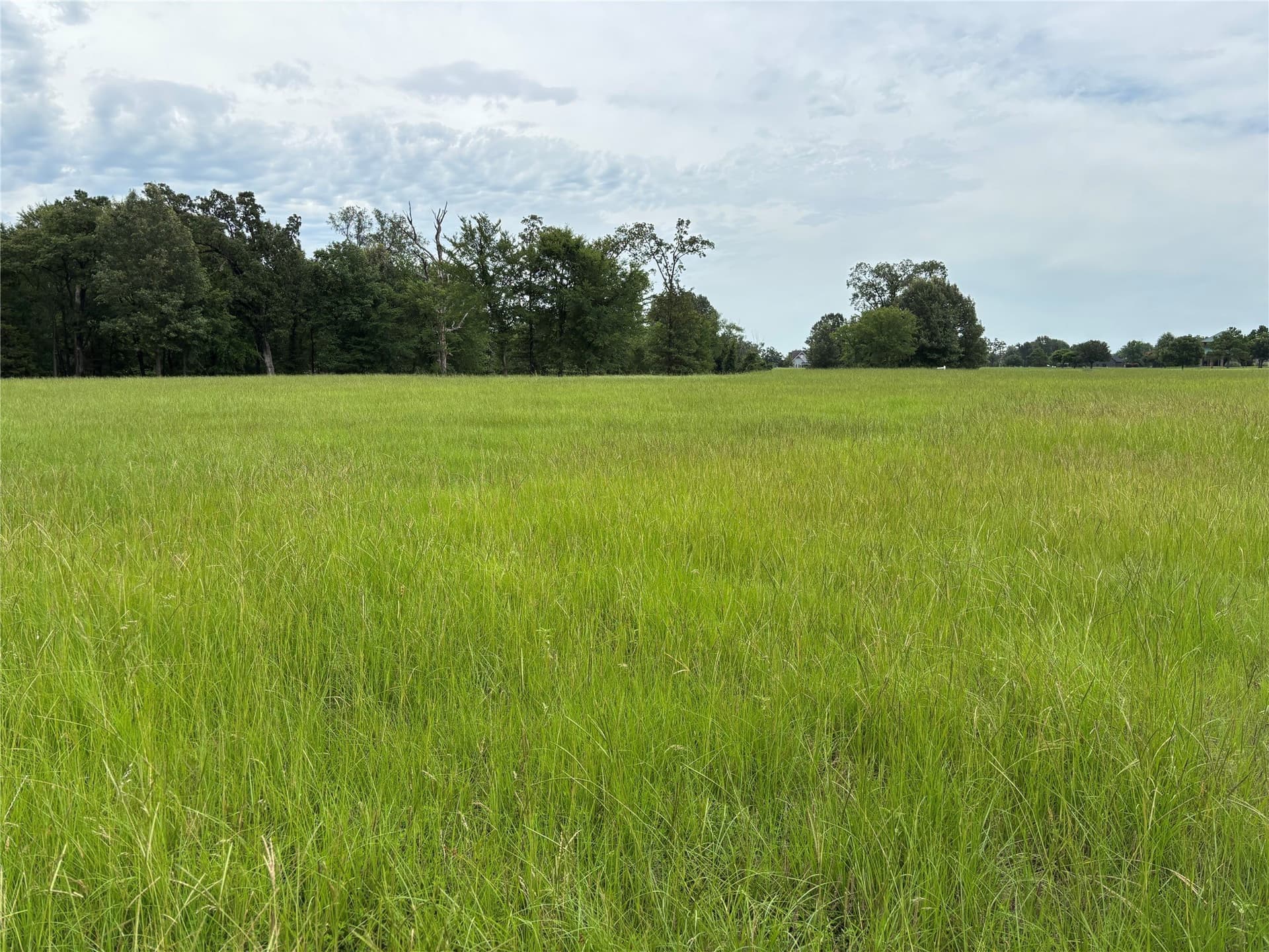 0.78 acres in Titus County - photo 13