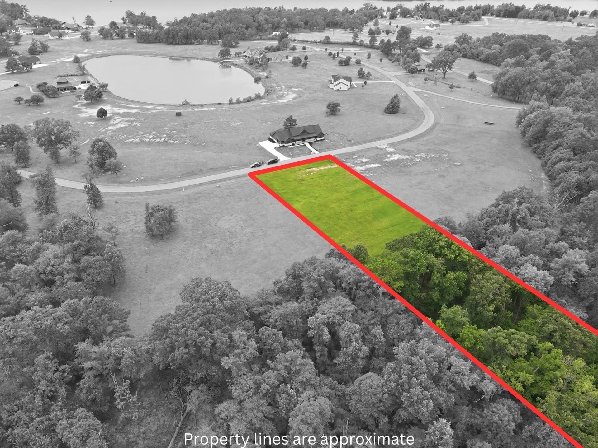 0.78 acres in Titus County gallery image 2