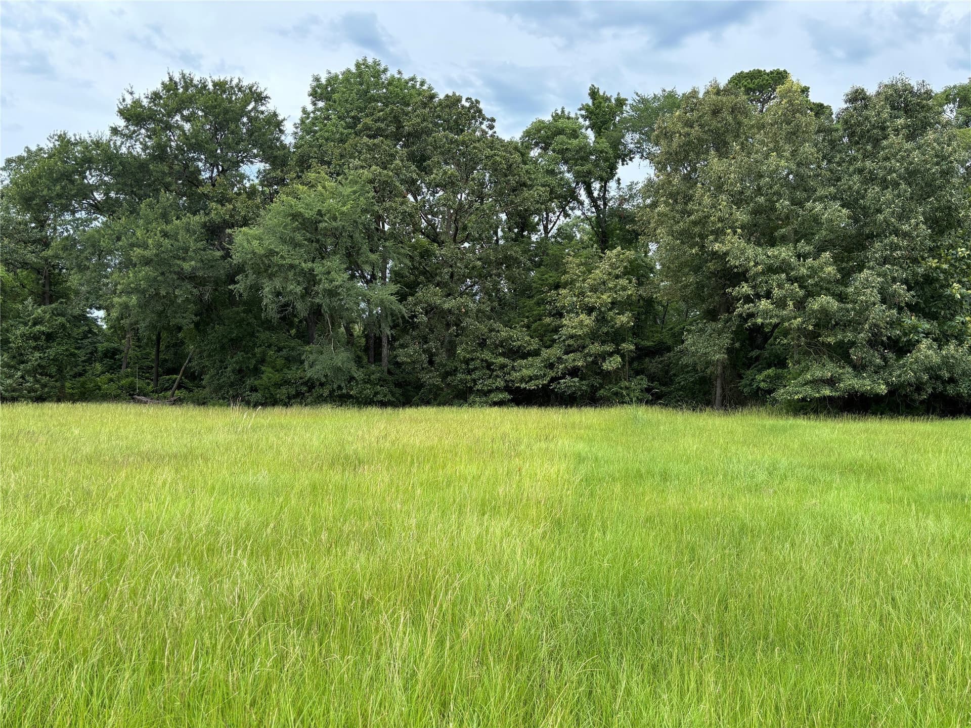 0.78 acres in Titus County - photo 12