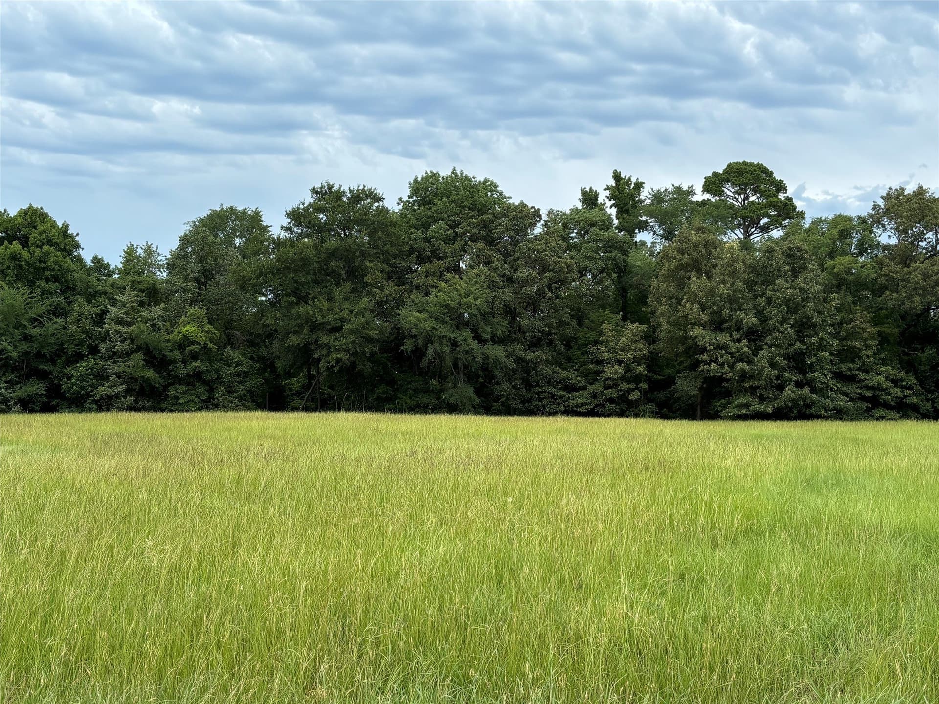 0.78 acres in Titus County - photo 10
