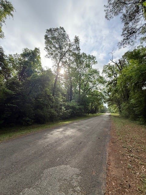 0.3 acres in Texas County gallery image 3