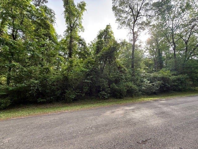 0.3 acres in Texas County gallery image 4