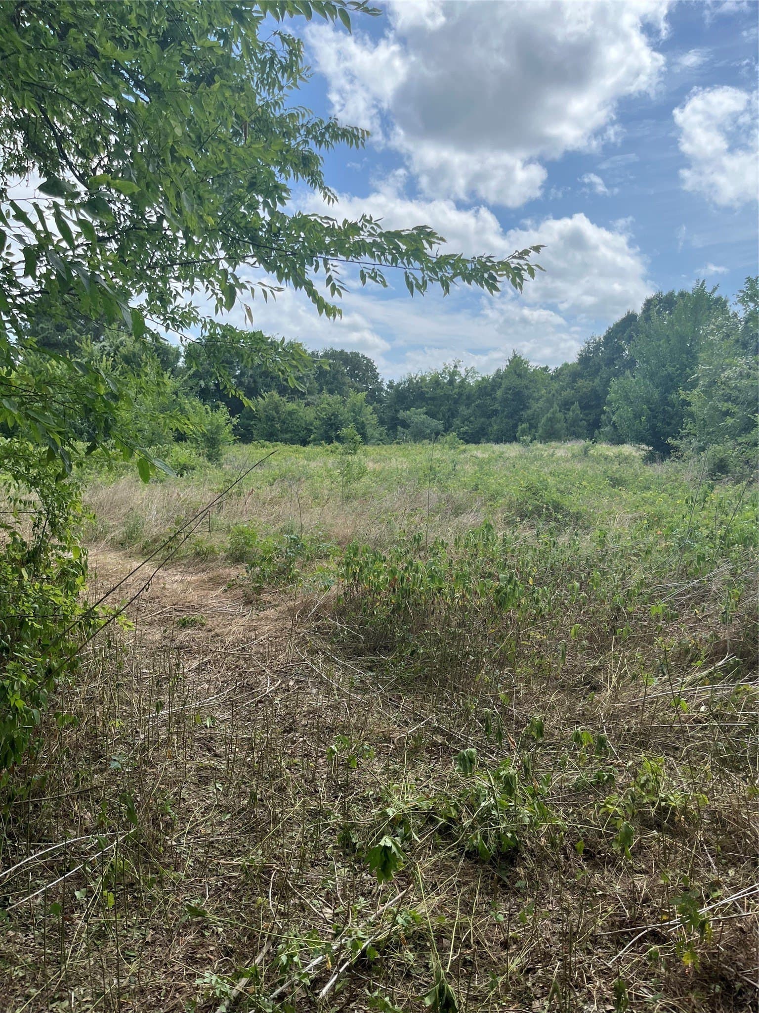 10.6 acres in Henderson County - photo 13