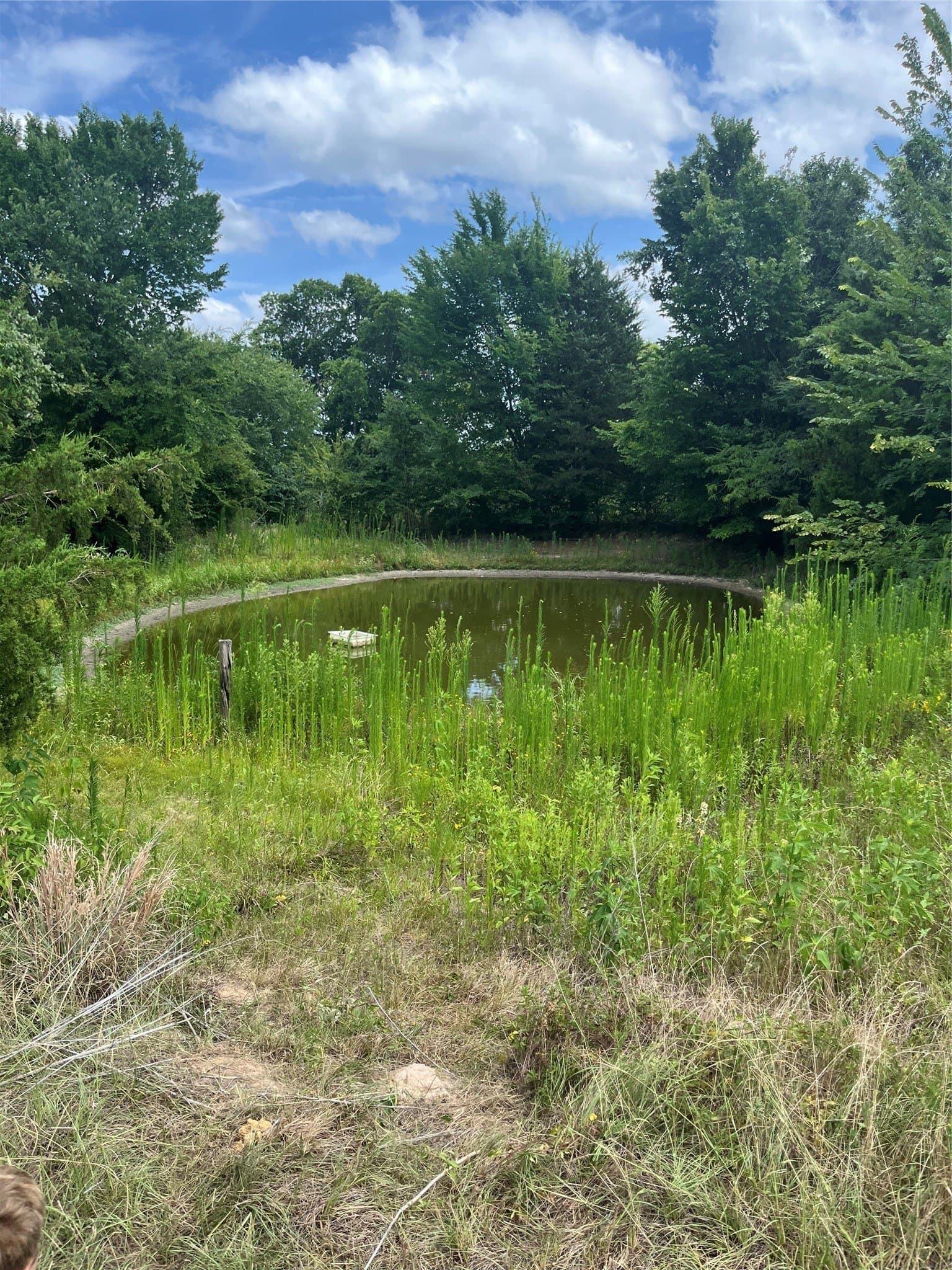 10.6 acres in Henderson County - photo 11