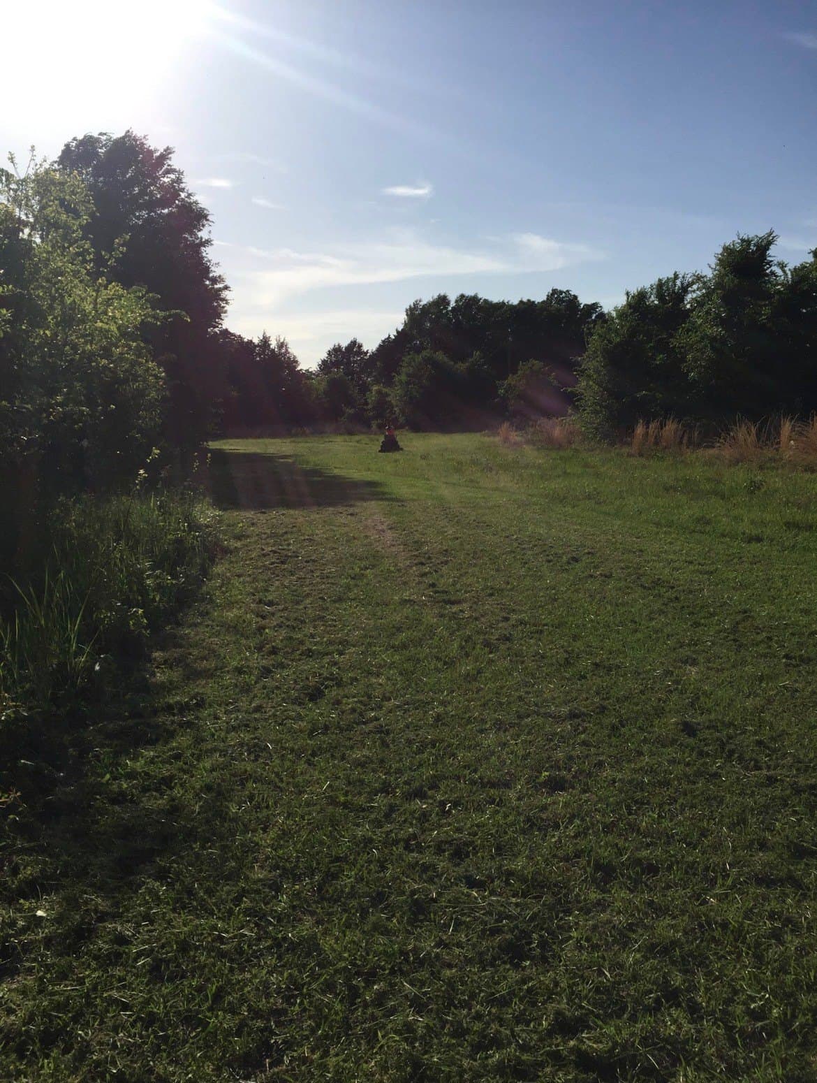10.6 acres in Henderson County - photo 15