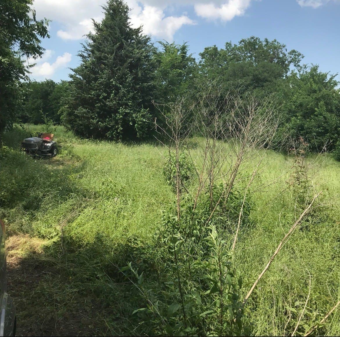 10.6 acres in Henderson County - photo 2