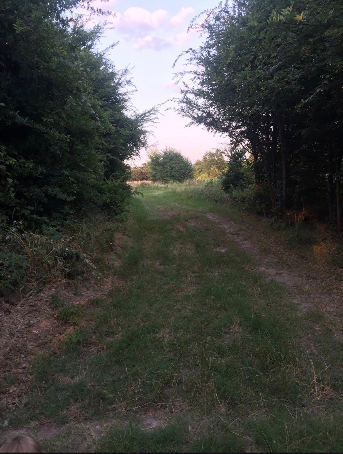10.6 acres in Henderson County - photo 14