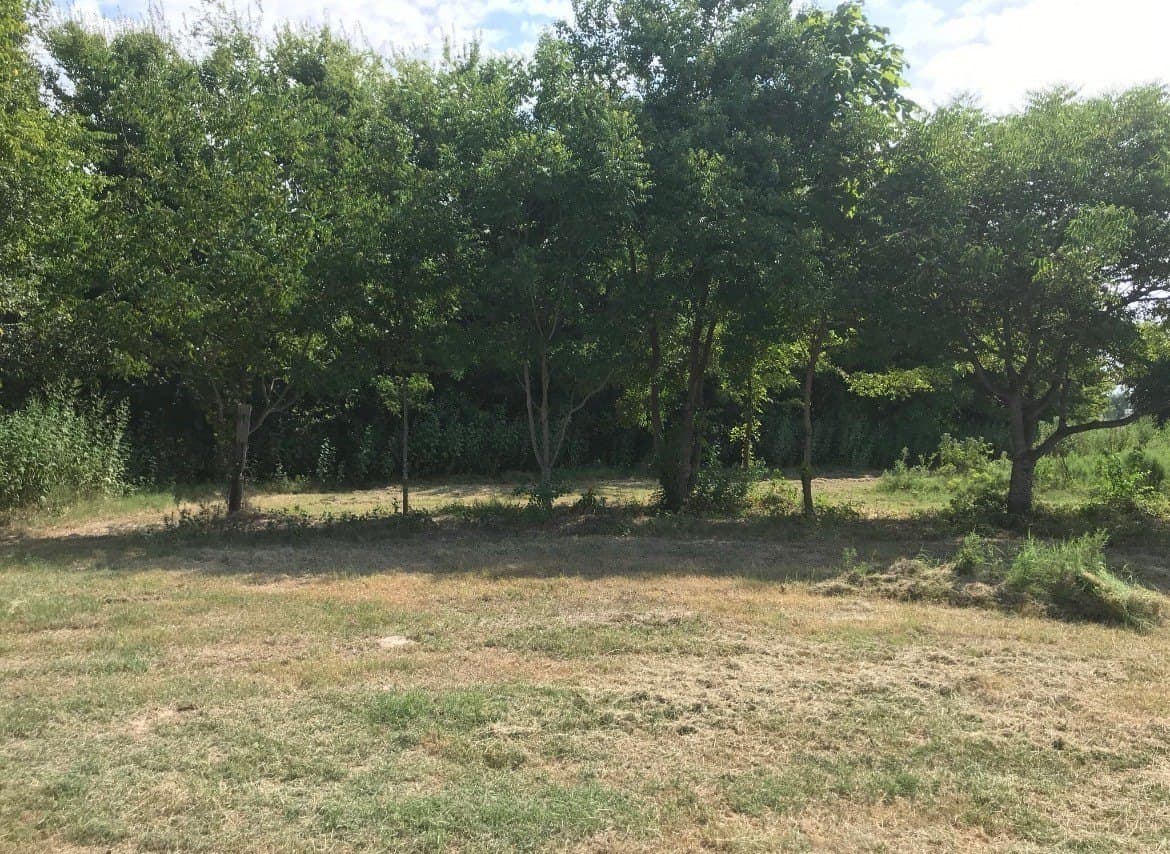 10.6 acres in Henderson County - photo 3