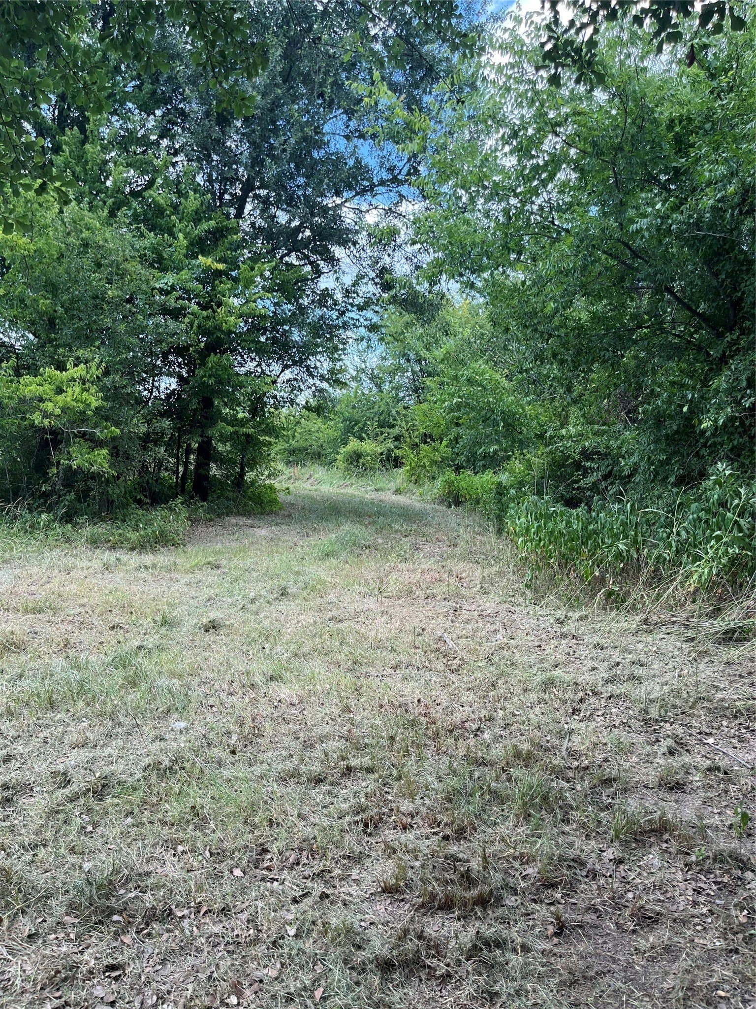 10.6 acres in Henderson County - photo 10