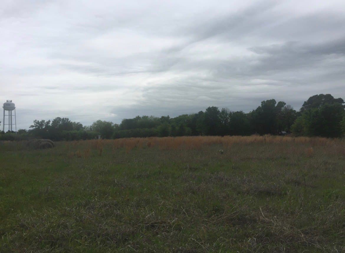 10.6 acres in Henderson County - photo 8