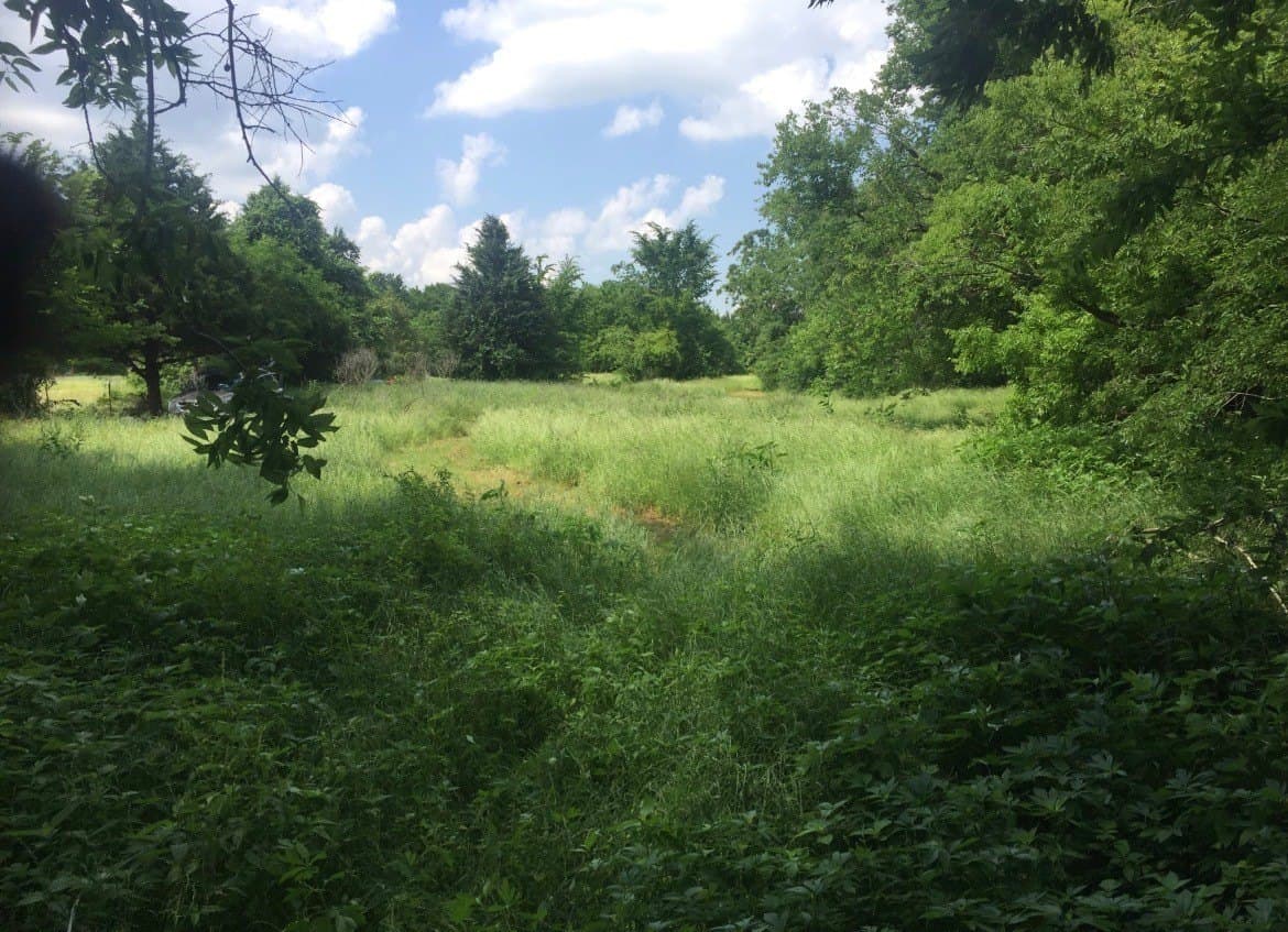 10.6 acres in Henderson County - photo 4