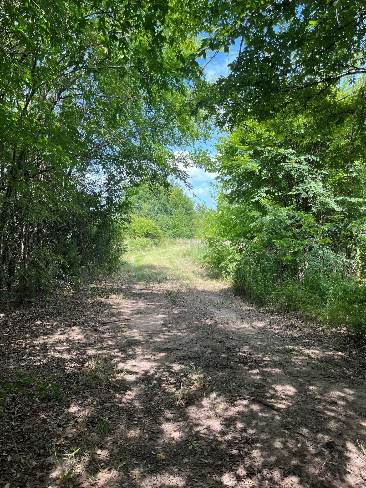 10.6 acres in Henderson County - photo 12