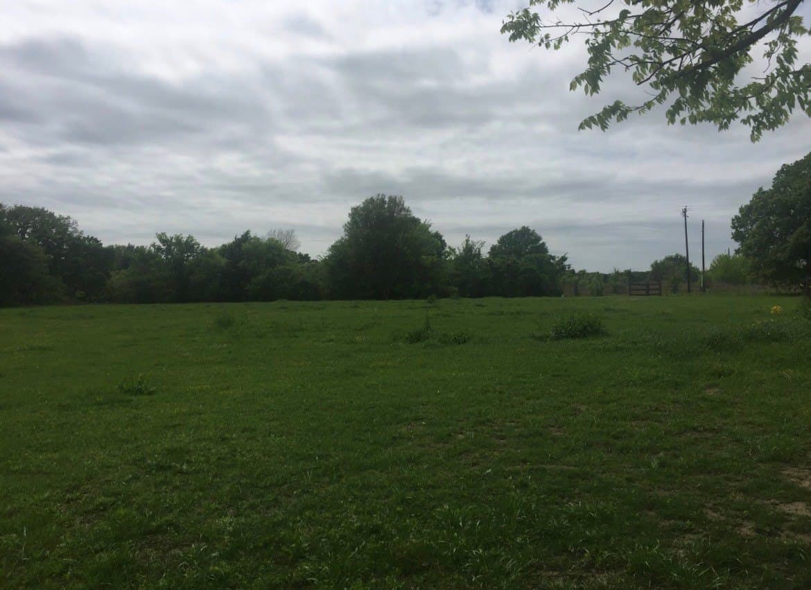 10.6 acres in Henderson County - photo 7