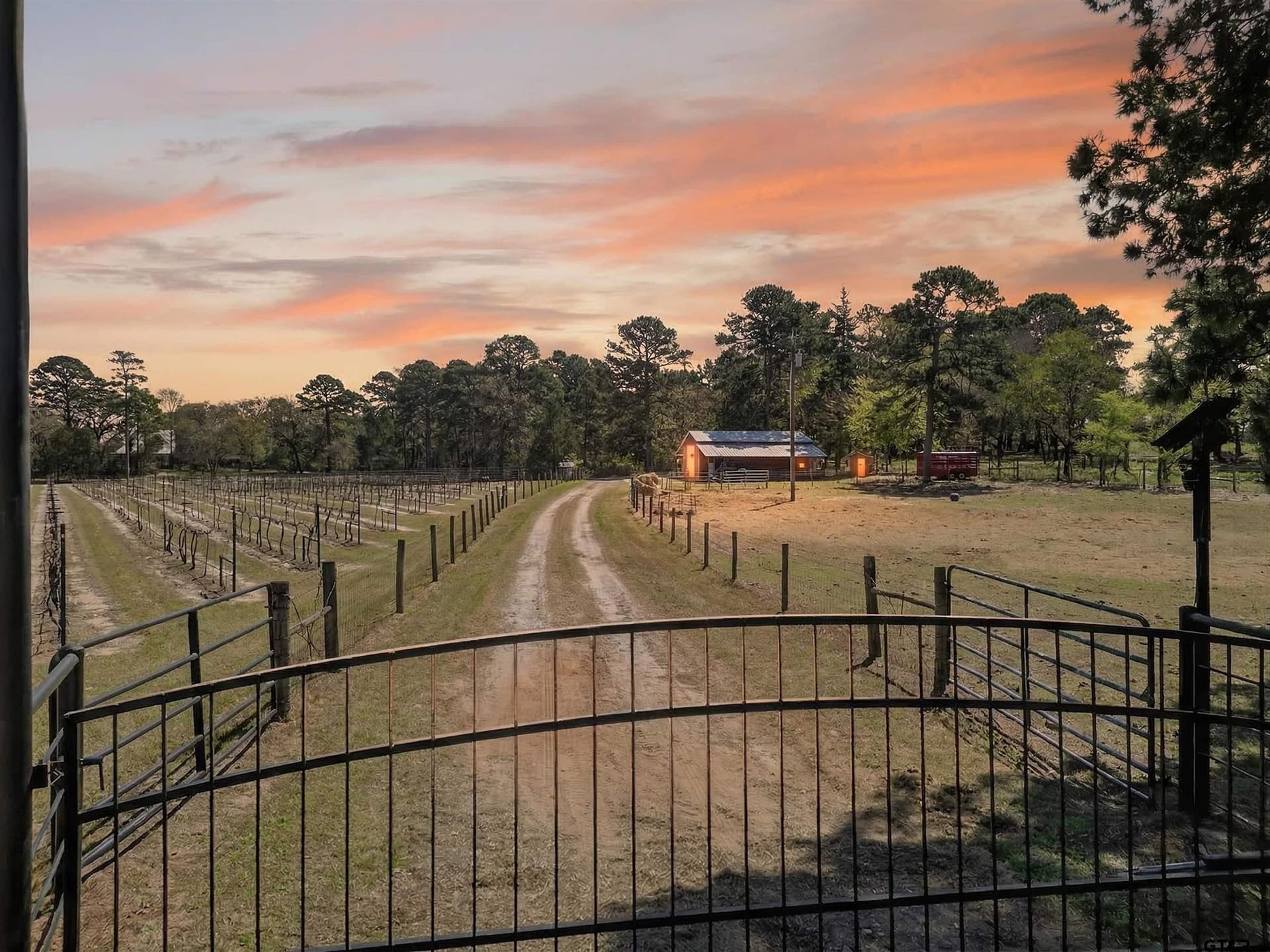 24.82 acres in Smith County