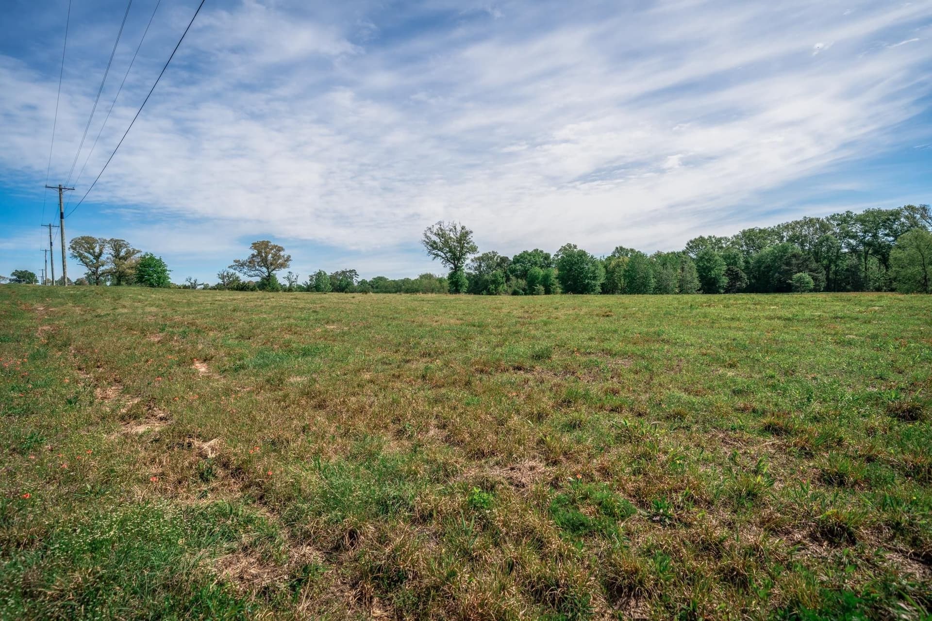 6.46 acres in Texas County gallery image 3