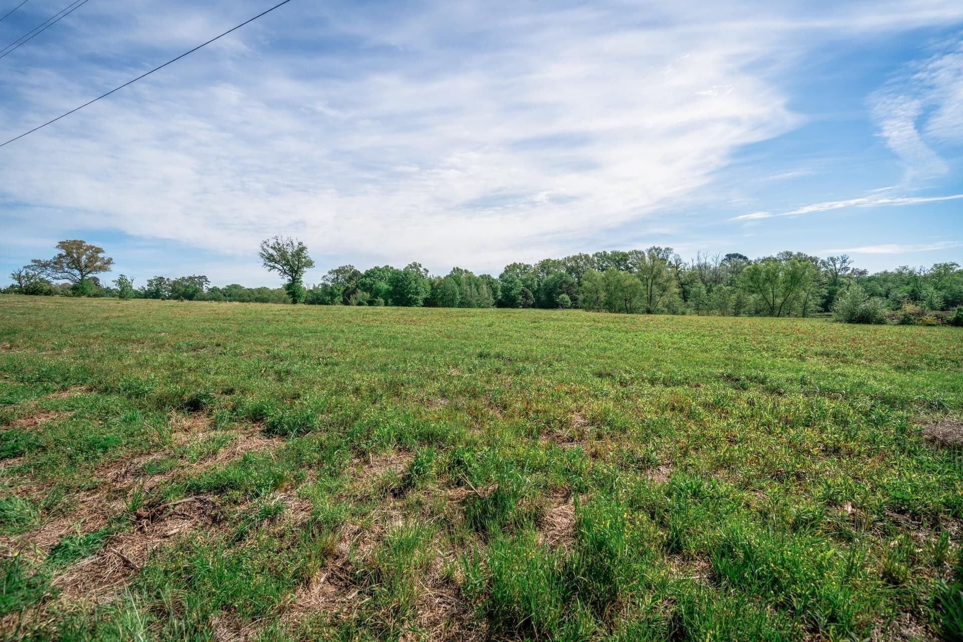 6.46 acres in Texas County gallery image 4