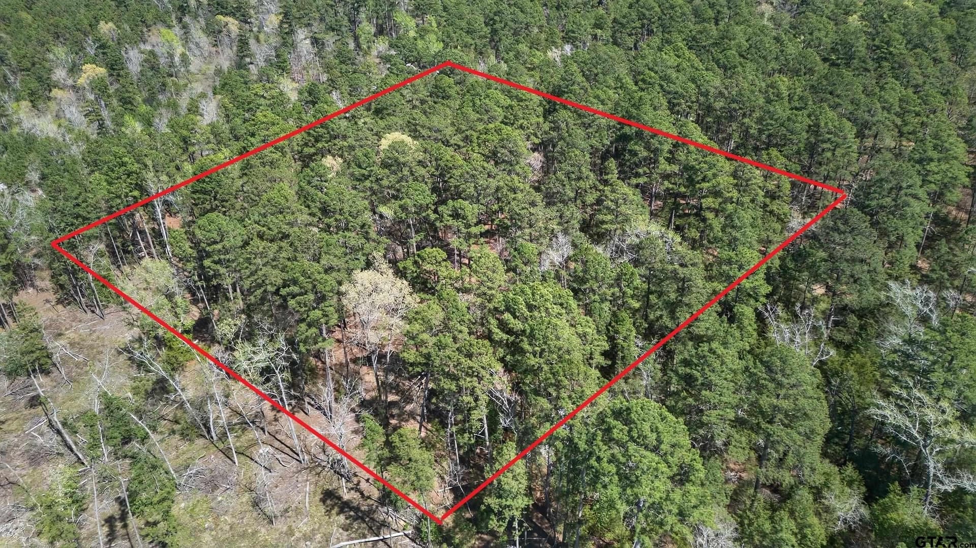 4.95 acres in Anderson County - photo 14