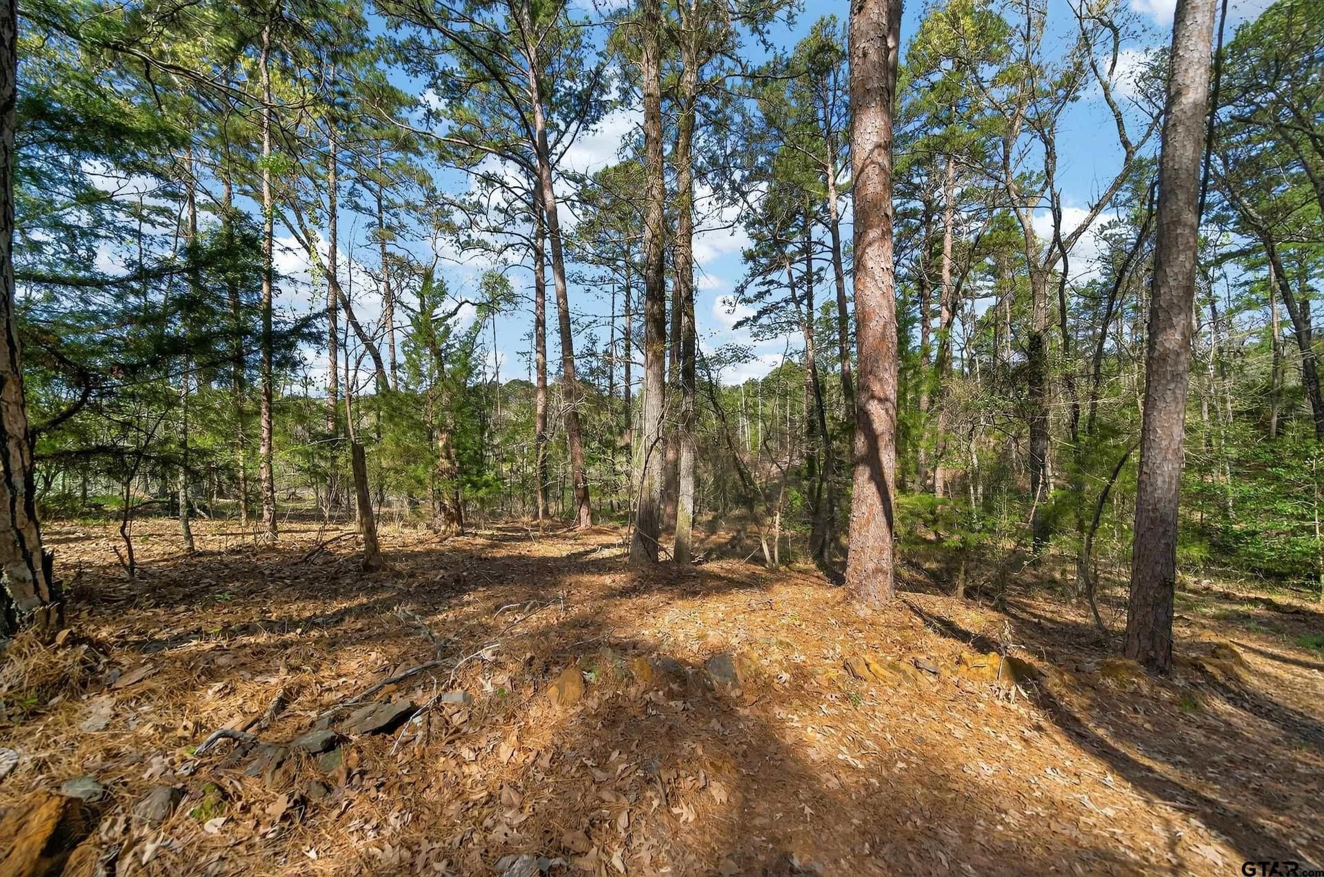 4.95 acres in Anderson County - photo 10