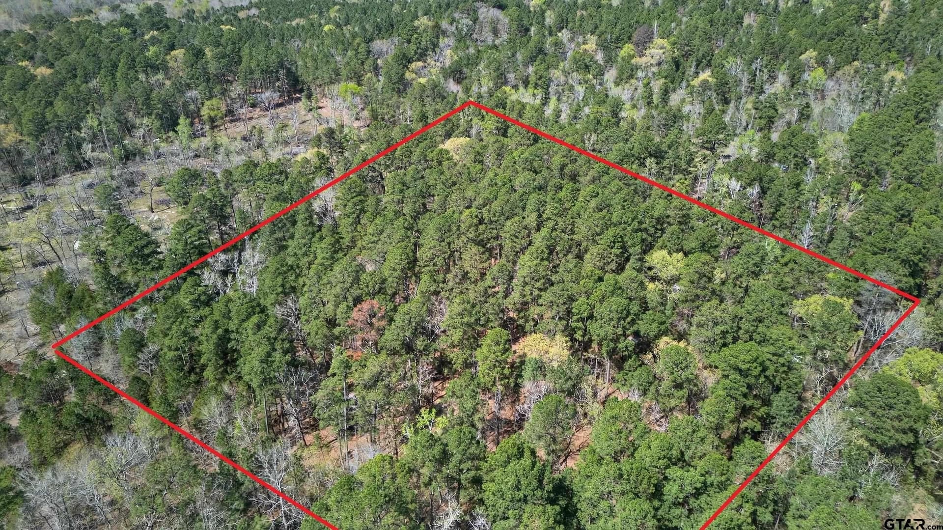 4.95 acres in Anderson County - photo 16