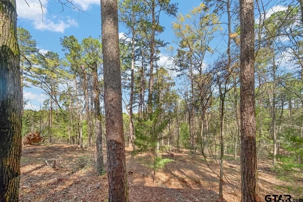 4.95 acres in Anderson County gallery image 4