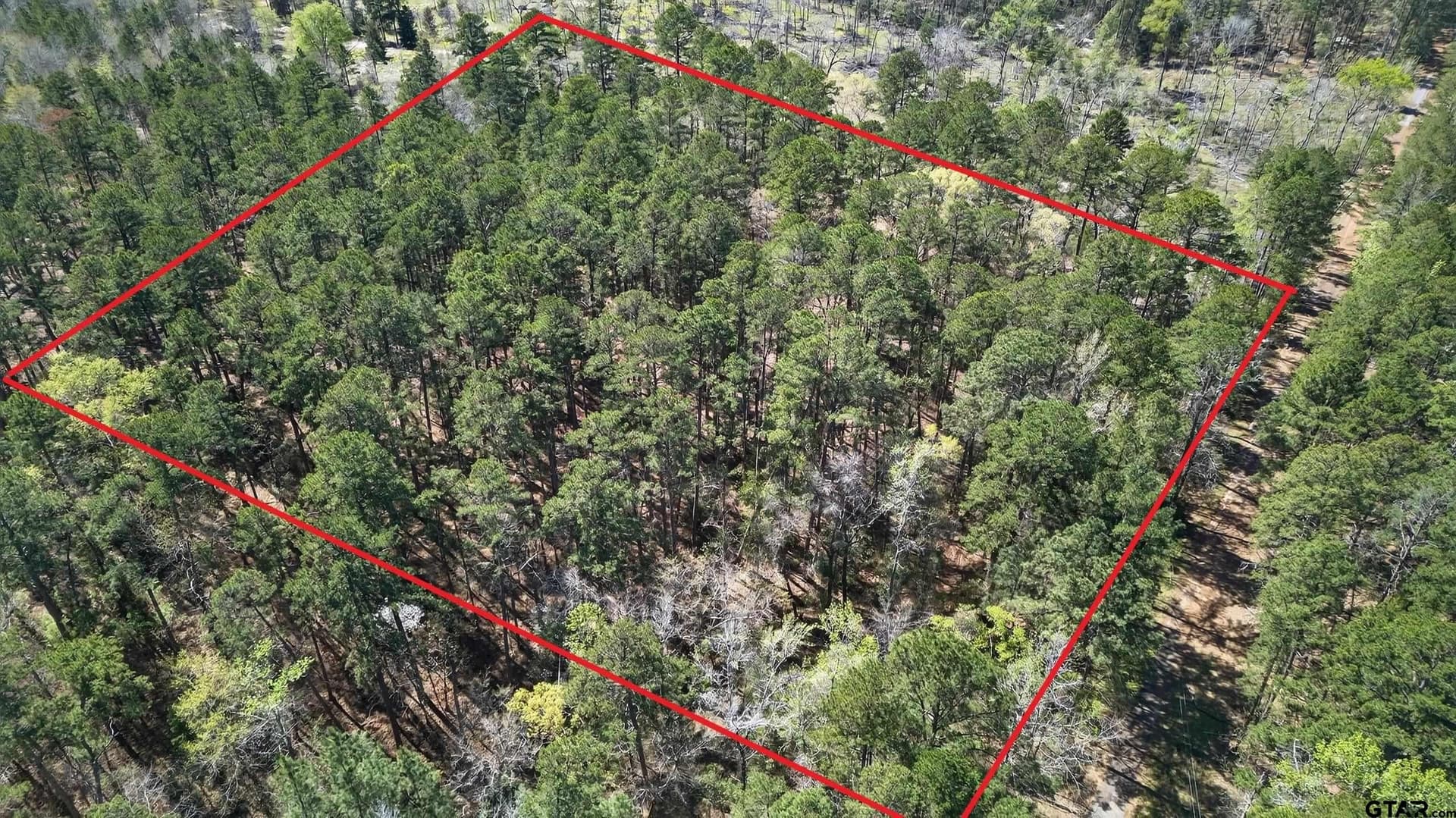 4.95 acres in Anderson County - photo 15