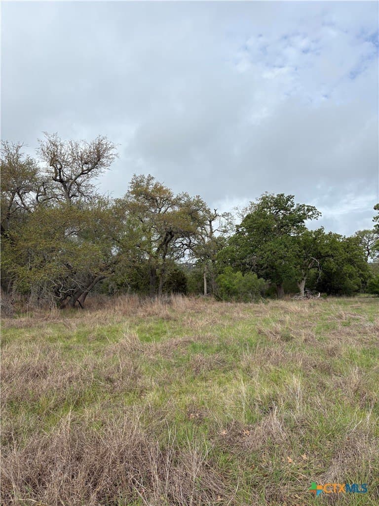 1.26 acres in Comal County gallery image 4