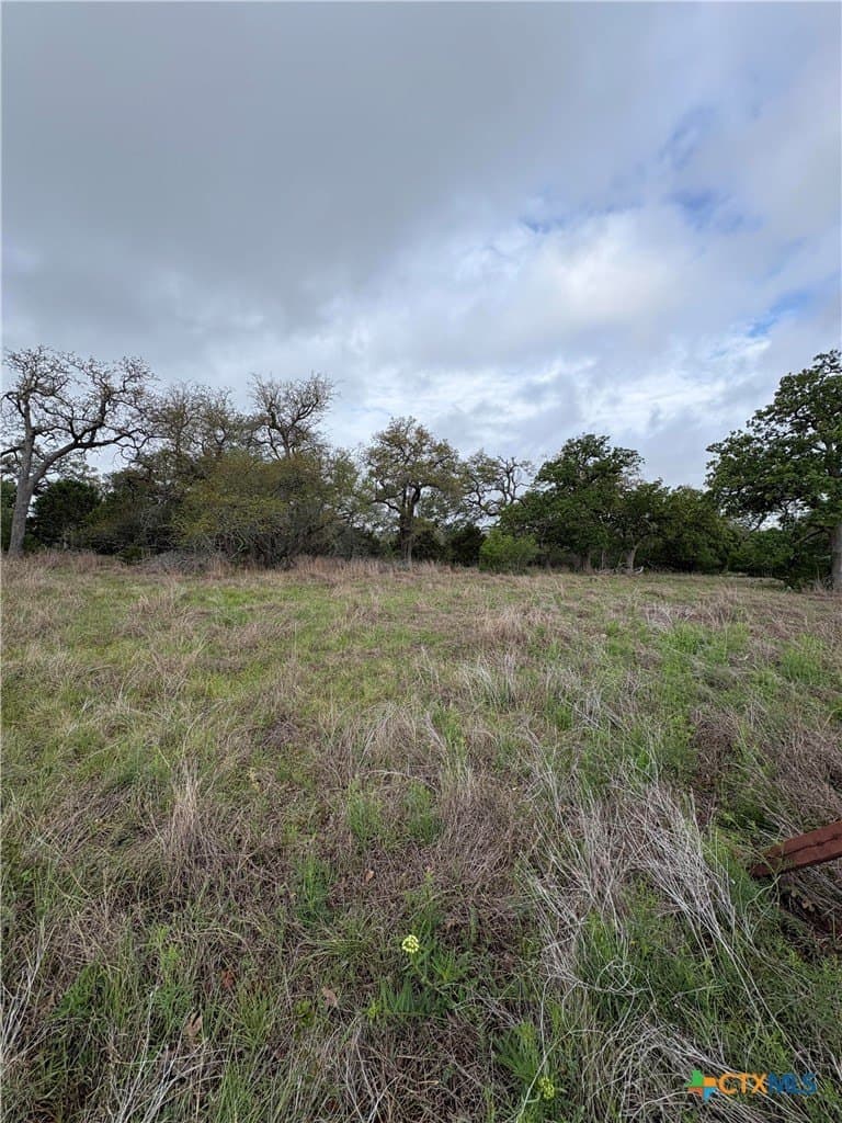 1.26 acres in Comal County gallery image 3