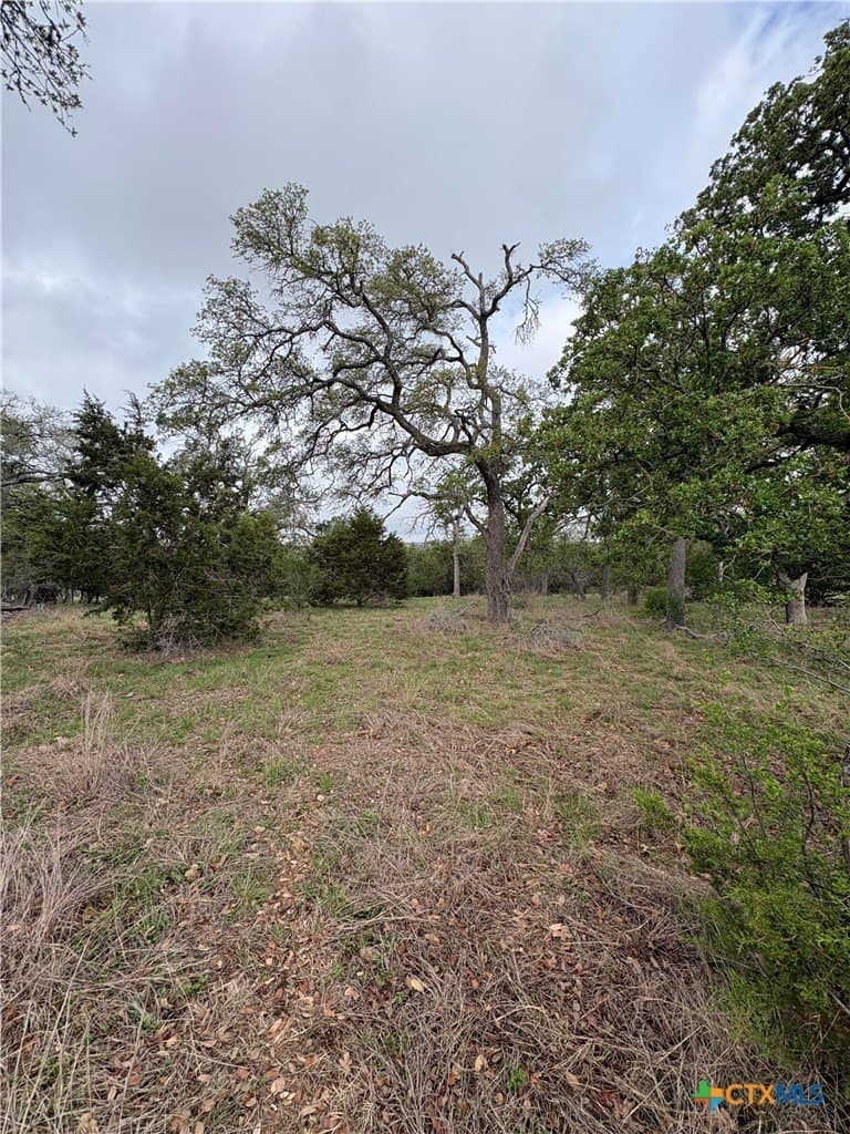 1.26 acres in Comal County gallery image 2