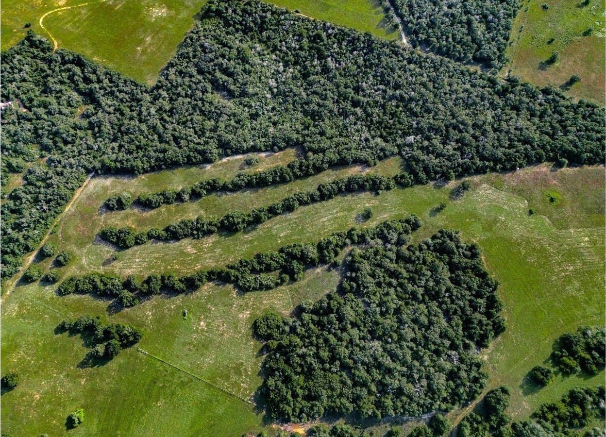 53.76 acres in Milam County - photo 10