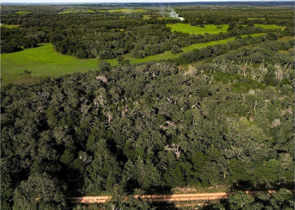 53.76 acres in Milam County - photo 9