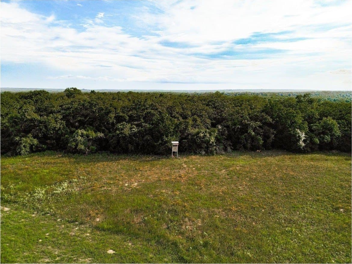 53.76 acres in Milam County - photo 5