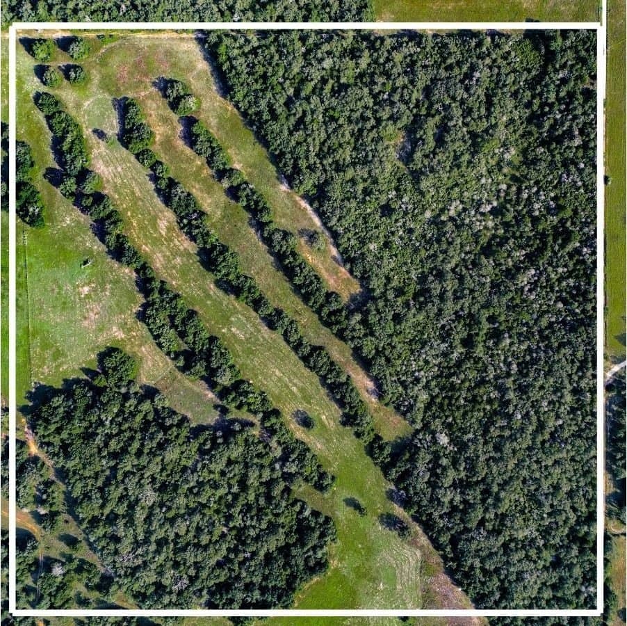53.76 acres in Milam County - photo 2