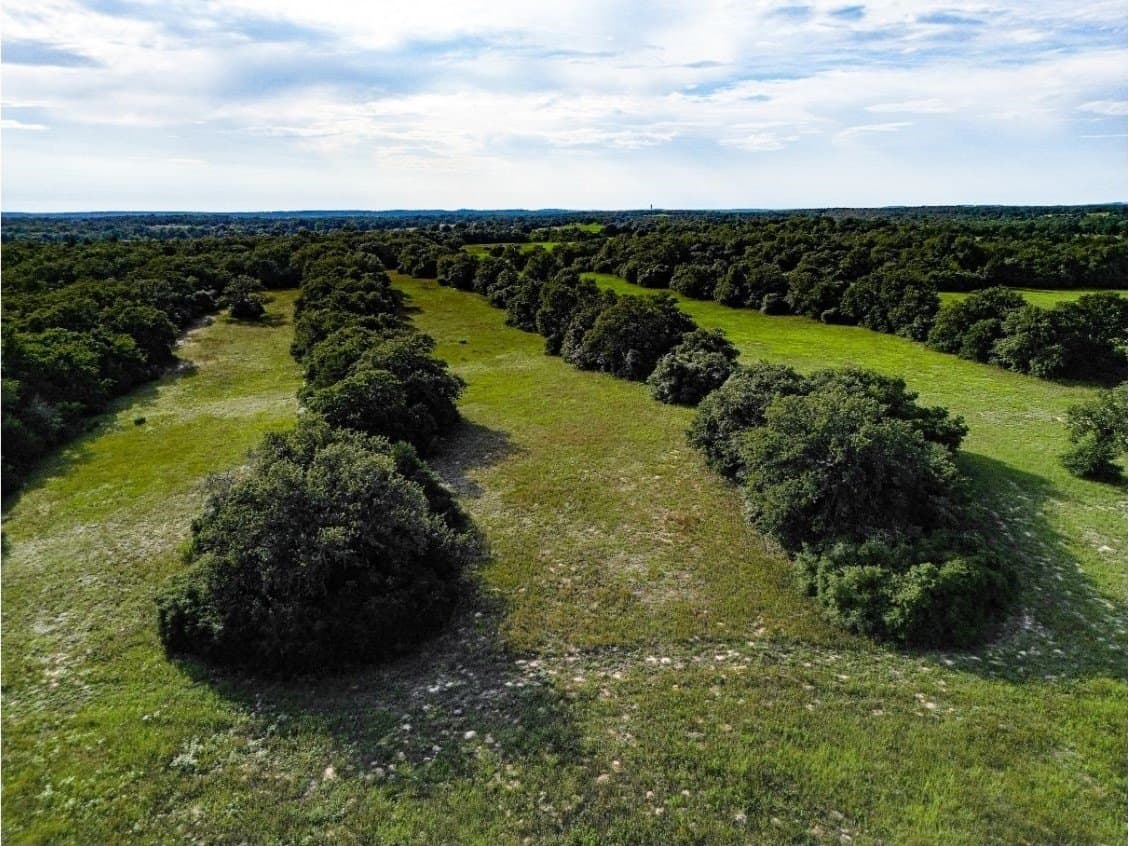 53.76 acres in Milam County - photo 4
