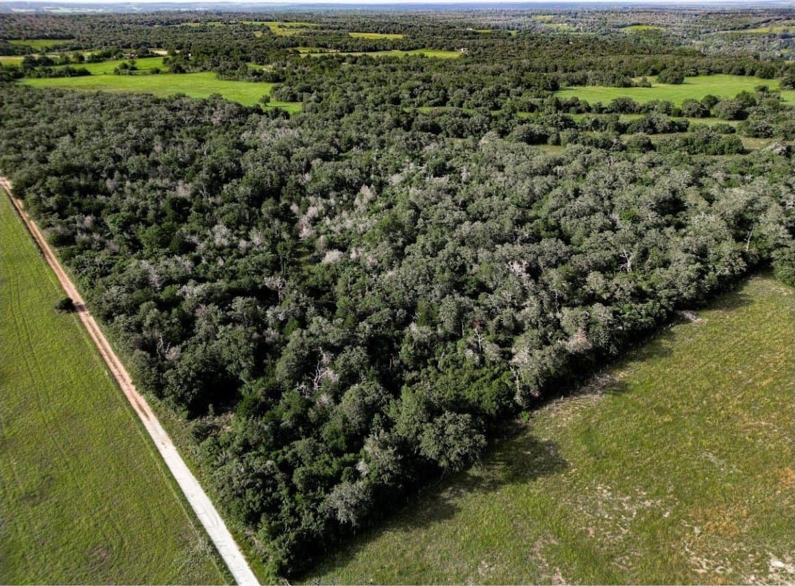 53.76 acres in Milam County - photo 7
