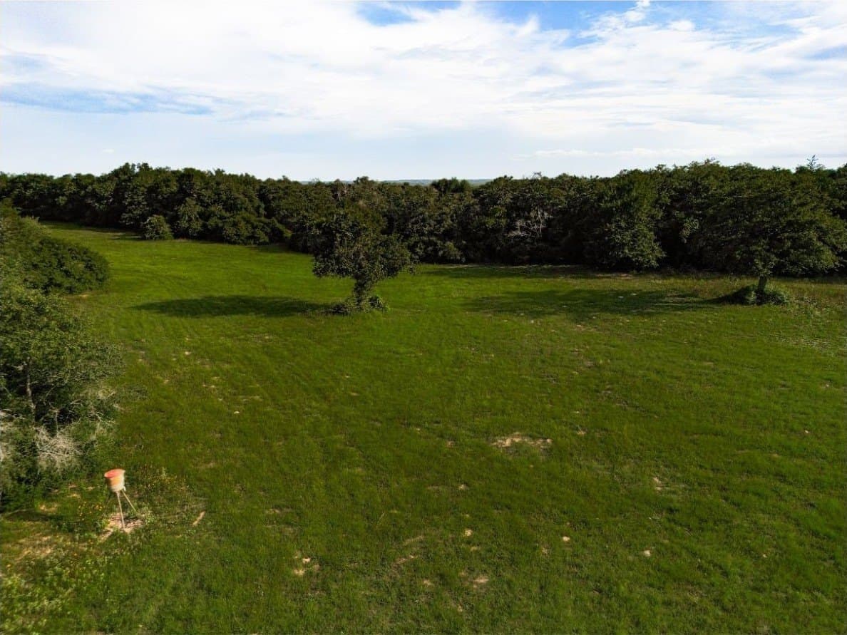 53.76 acres in Milam County - photo 3