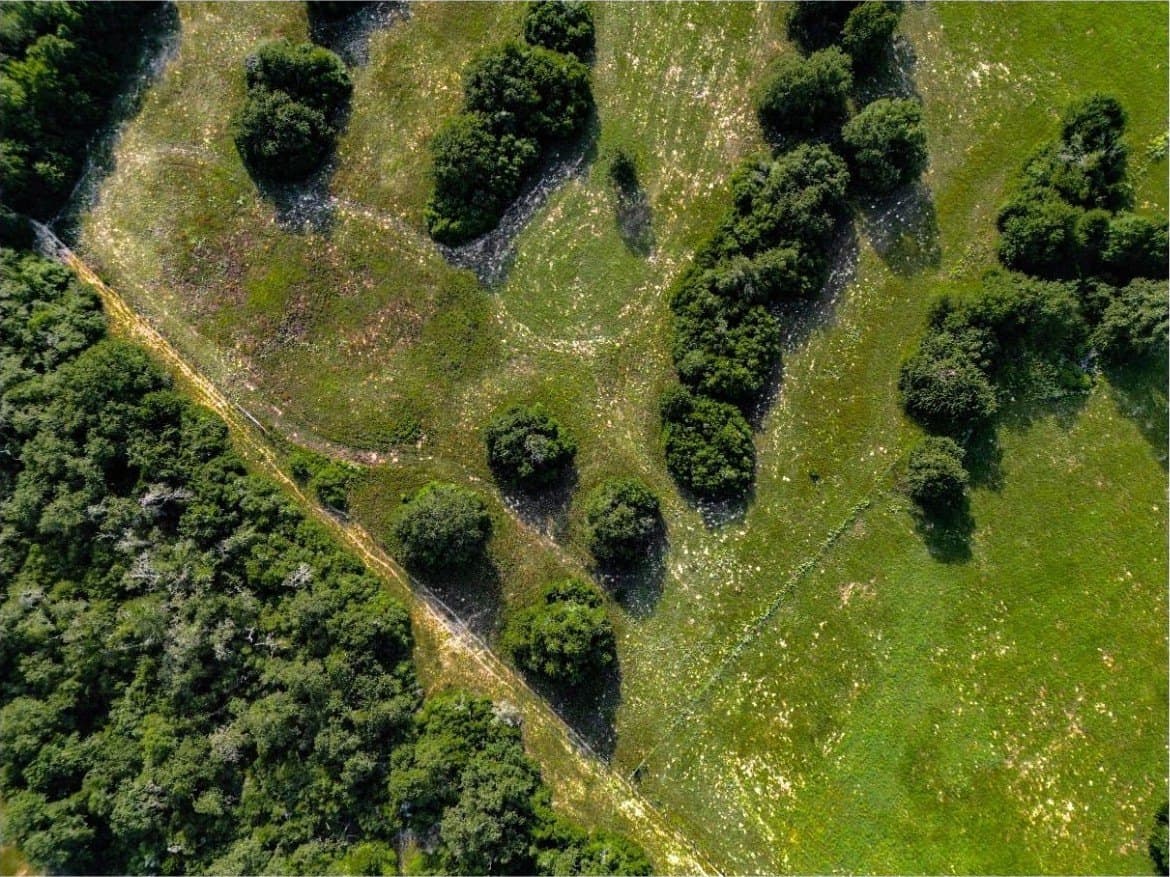 53.76 acres in Milam County - photo 8