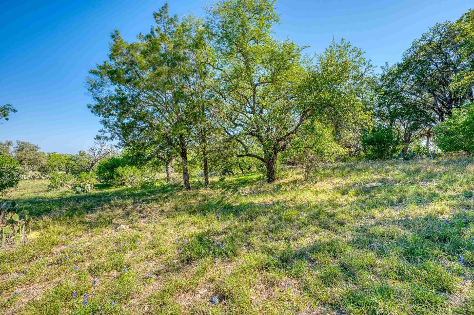 0.14 acres in Llano County - photo 9