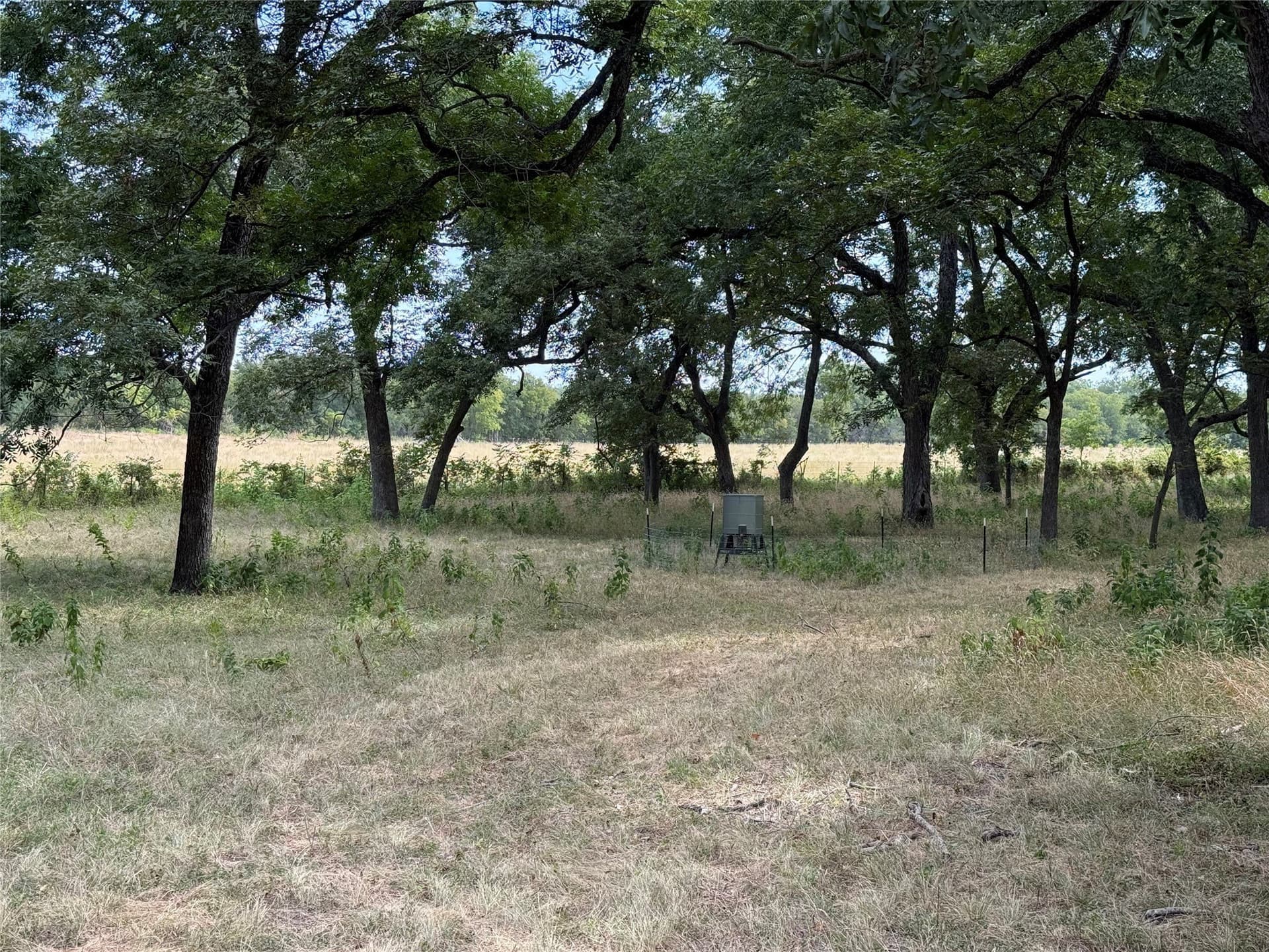 0 acres in McLennan County - photo 19