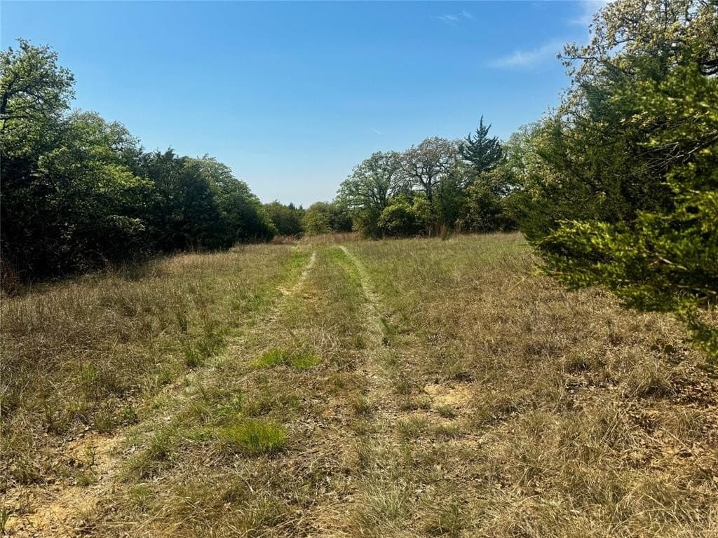 13.34 acres in Montague County gallery image 2