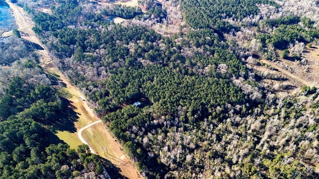 34.4 acres in Nacogdoches County gallery image 3