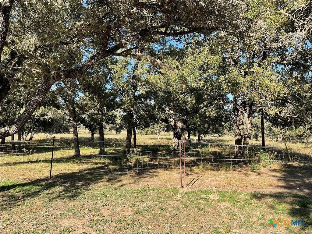 10.28 acres in DeWitt County - photo 5