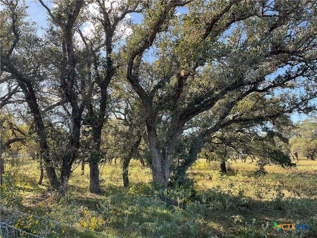 10.28 acres in DeWitt County - photo 3