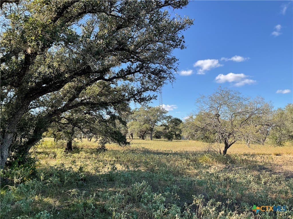 10.28 acres in DeWitt County - photo 2