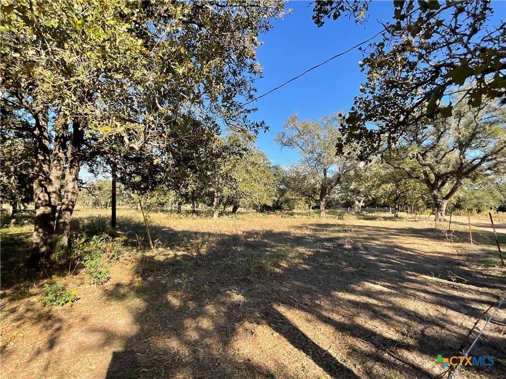 10.28 acres in DeWitt County - photo 6