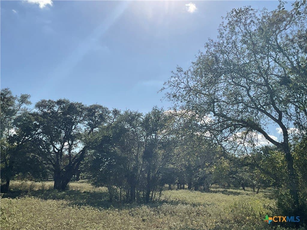 10.28 acres in DeWitt County - photo 4