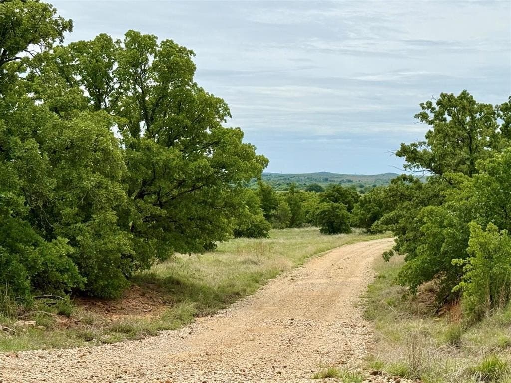214.68 acres in Jack County gallery image 4