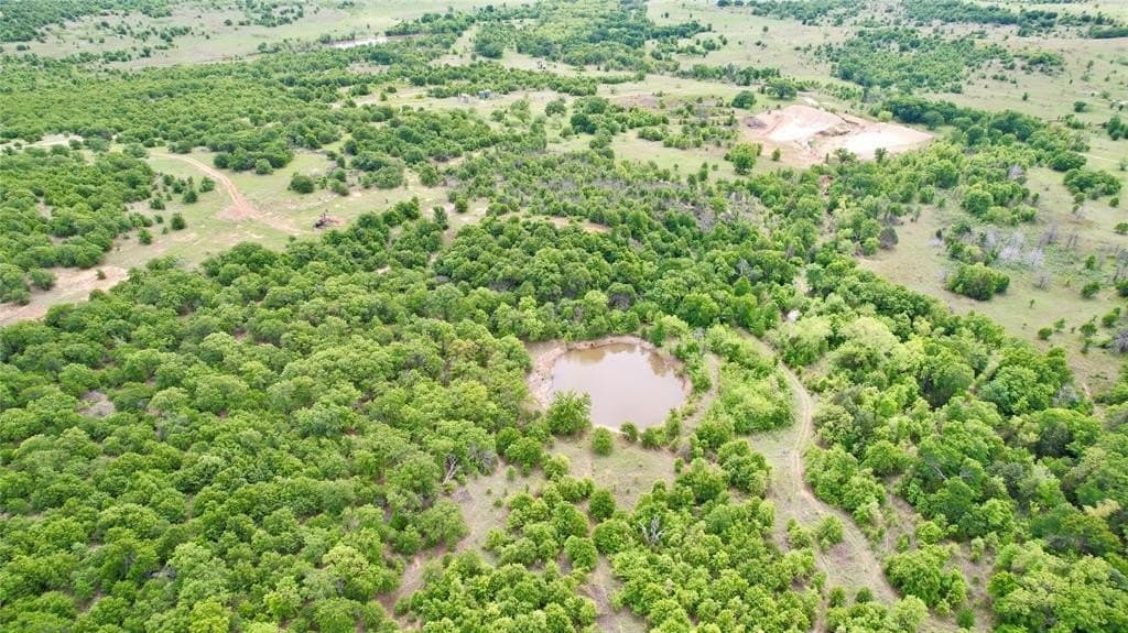 214.68 acres in Jack County gallery image 3