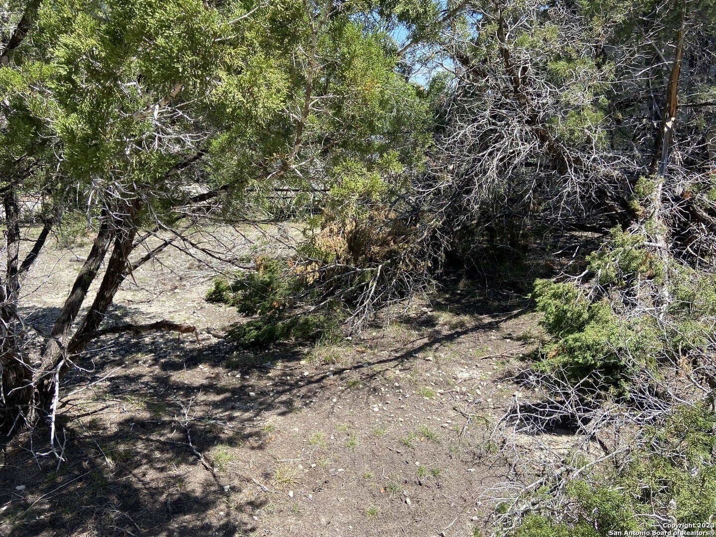 0.33 acres in Comal County - photo 8